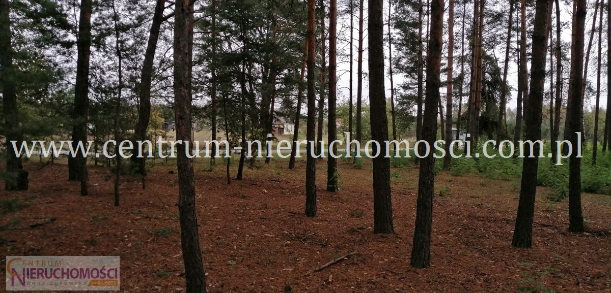 działki rolne Głęboczyca, gm. Dobre LAS