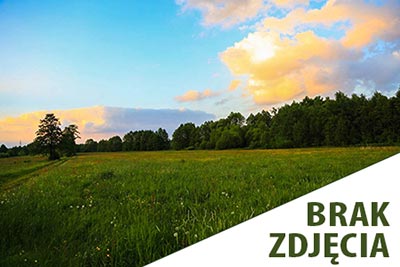 działki budowlane Grodzisk