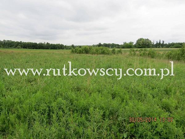 działki budowlane Nowa Pogorzel
